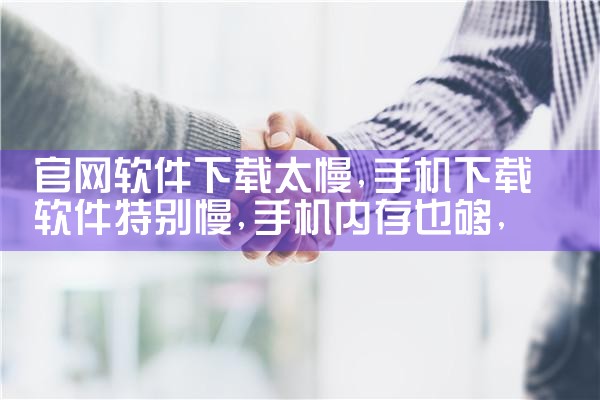 官网软件下载太慢