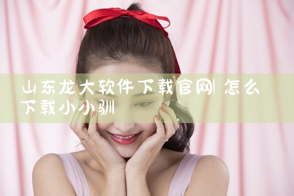 山东龙大软件下载官网