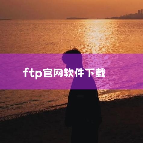 首先，最直接的查询方式是访问快递公司的官方网站。每家快递公司（如顺丰、京东物流、中通、韵达、圆通等）都提供在线查询服务。用户只需进入对应快递公司的官网，在首页找到“运单查询”或类似功能入口，输入快递单,