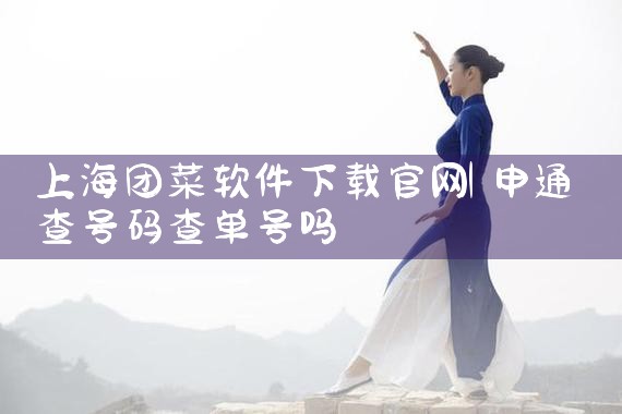 上海团菜软件下载官网