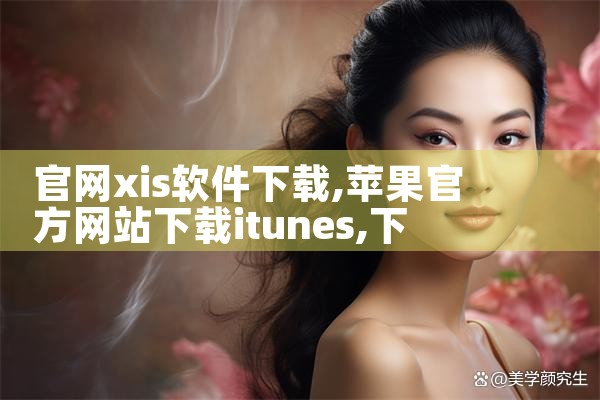 官网xis软件下载
