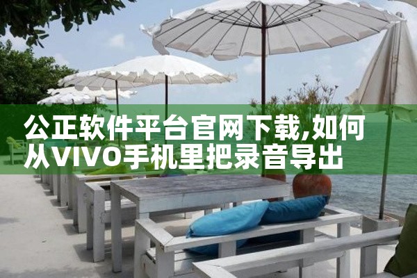 公正软件平台官网下载
