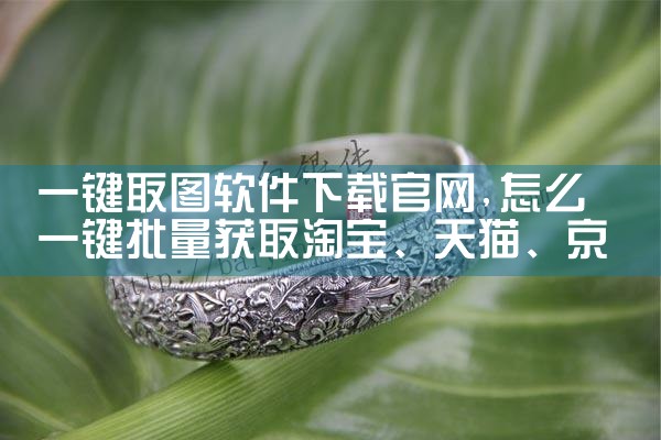 一键取图软件下载官网